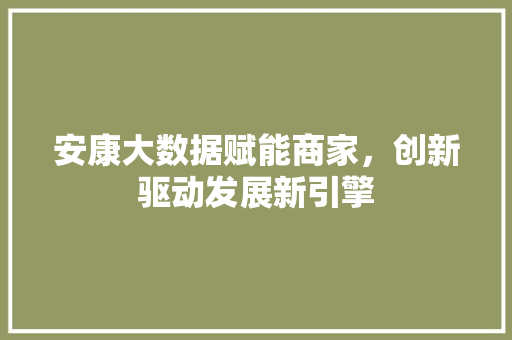 安康大数据赋能商家，创新驱动发展新引擎 前端技术