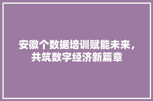 安徽个数据培训赋能未来，共筑数字经济新篇章