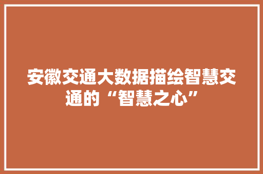 安徽交通大数据描绘智慧交通的“智慧之心”