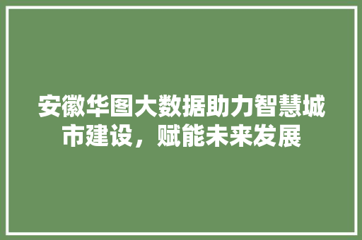 安徽华图大数据助力智慧城市建设，赋能未来发展
