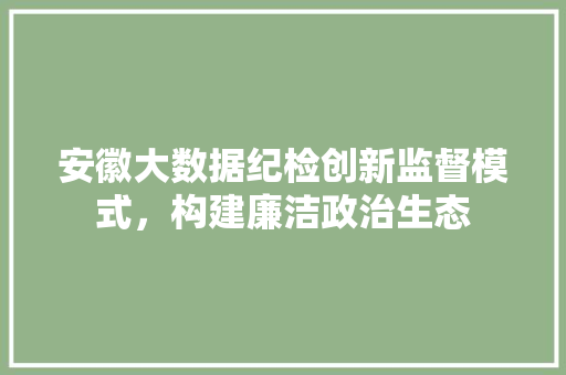 安徽大数据纪检创新监督模式，构建廉洁政治生态