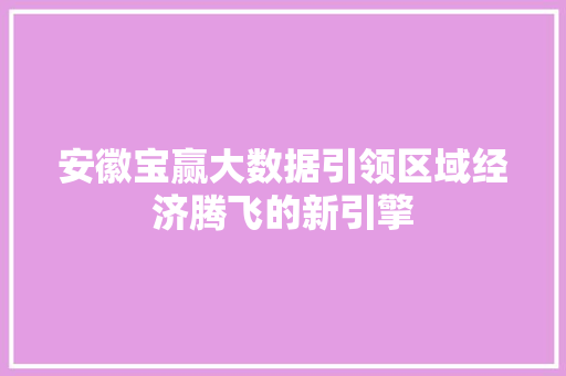 安徽宝赢大数据引领区域经济腾飞的新引擎