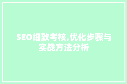 SEO细致考核,优化步骤与实战方法分析 前端技术