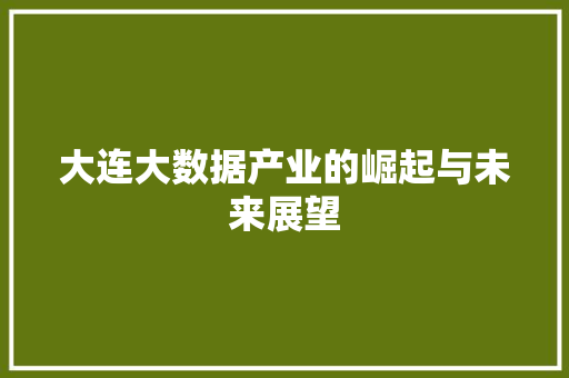 大连大数据产业的崛起与未来展望