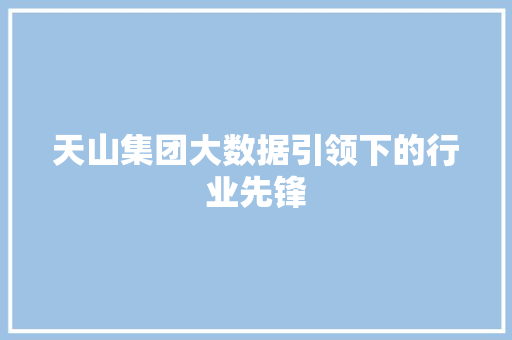 天山集团大数据引领下的行业先锋