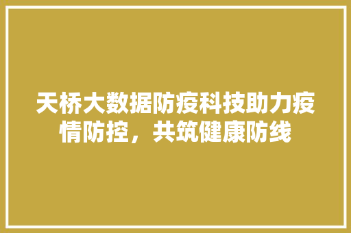 天桥大数据防疫科技助力疫情防控，共筑健康防线