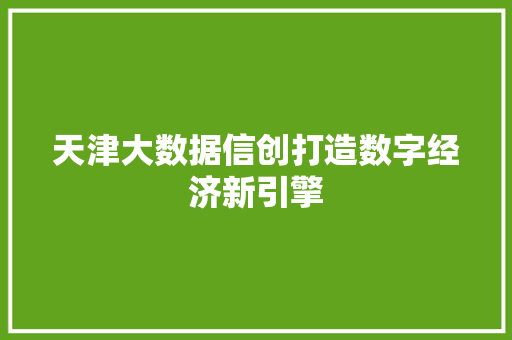 天津大数据信创打造数字经济新引擎