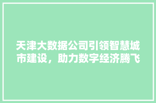 天津大数据公司引领智慧城市建设，助力数字经济腾飞