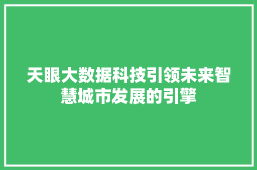 天眼大数据科技引领未来智慧城市发展的引擎