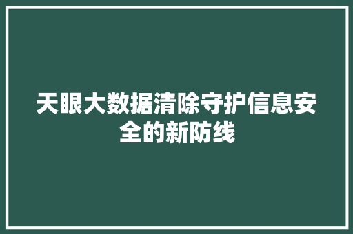 天眼大数据清除守护信息安全的新防线