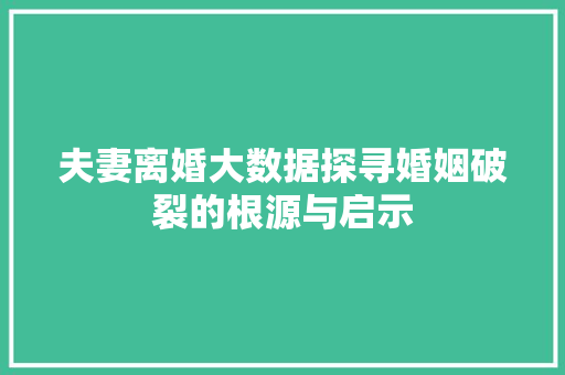 夫妻离婚大数据探寻婚姻破裂的根源与启示