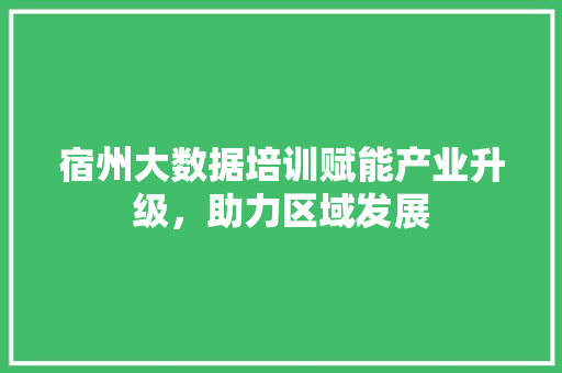 宿州大数据培训赋能产业升级，助力区域发展