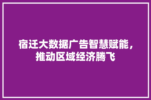宿迁大数据广告智慧赋能，推动区域经济腾飞
