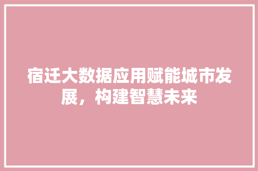 宿迁大数据应用赋能城市发展，构建智慧未来