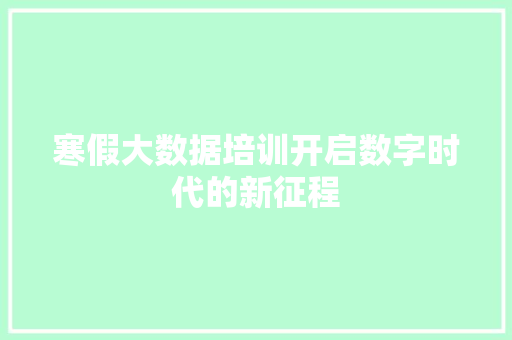 寒假大数据培训开启数字时代的新征程