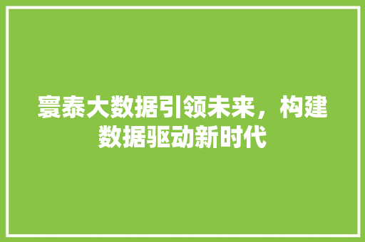 寰泰大数据引领未来，构建数据驱动新时代