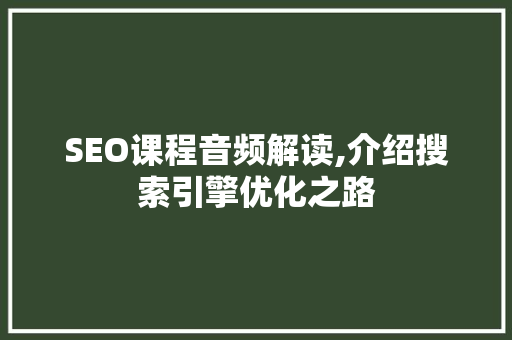 SEO课程音频解读,介绍搜索引擎优化之路 前端技术