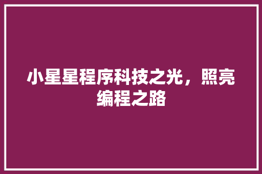 小星星程序科技之光，照亮编程之路