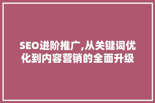 SEO进阶推广,从关键词优化到内容营销的全面升级 项目报告