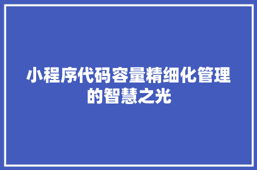 小程序代码容量精细化管理的智慧之光