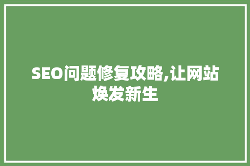 SEO问题修复攻略,让网站焕发新生 市场营销范文