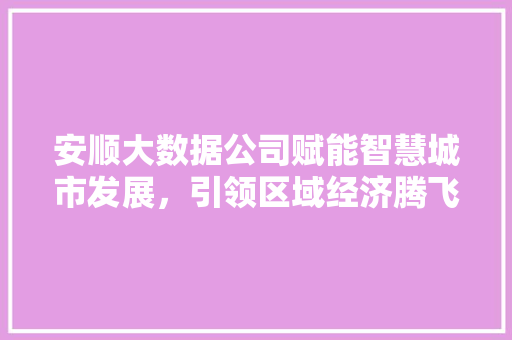 安顺大数据公司赋能智慧城市发展，引领区域经济腾飞
