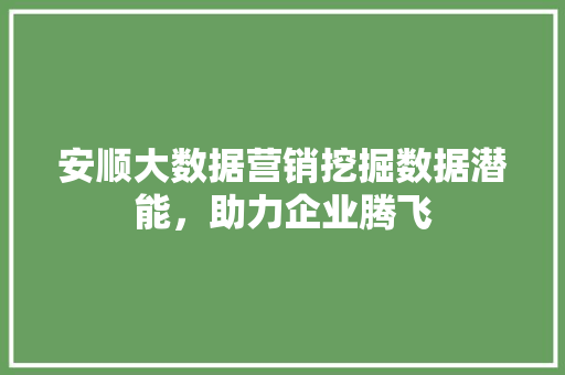 安顺大数据营销挖掘数据潜能，助力企业腾飞