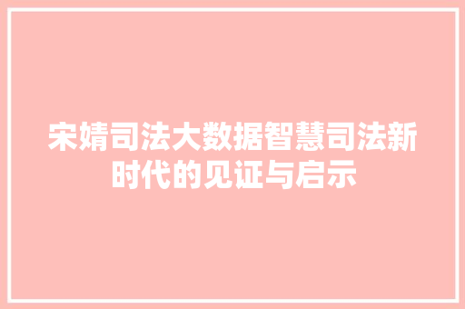 宋婧司法大数据智慧司法新时代的见证与启示