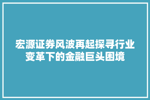 宏源证券风波再起探寻行业变革下的金融巨头困境
