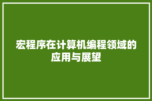 宏程序在计算机编程领域的应用与展望