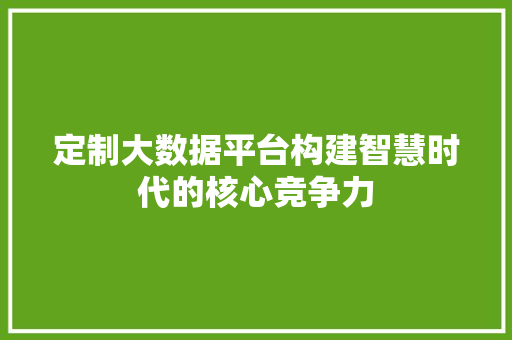 定制大数据平台构建智慧时代的核心竞争力