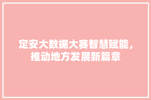 定安大数据大赛智慧赋能，推动地方发展新篇章