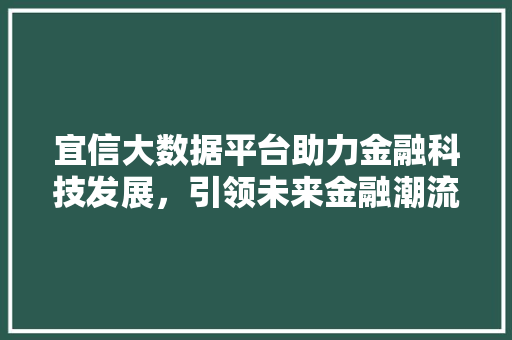宜信大数据平台助力金融科技发展，引领未来金融潮流