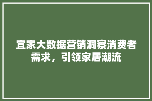 宜家大数据营销洞察消费者需求，引领家居潮流