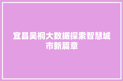 宜昌吴桐大数据探索智慧城市新篇章