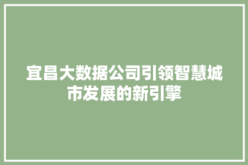 宜昌大数据公司引领智慧城市发展的新引擎