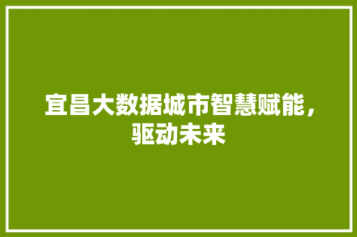 宜昌大数据城市智慧赋能，驱动未来