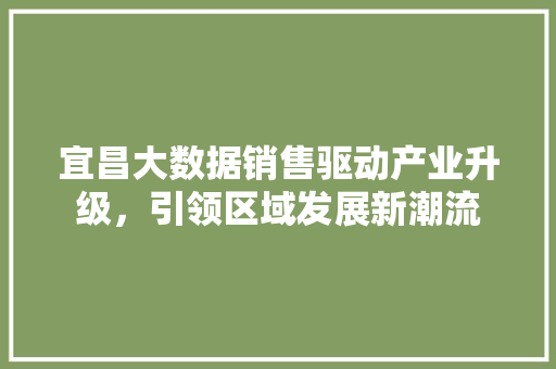 宜昌大数据销售驱动产业升级，引领区域发展新潮流