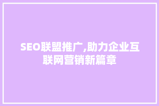 SEO联盟推广,助力企业互联网营销新篇章 项目报告