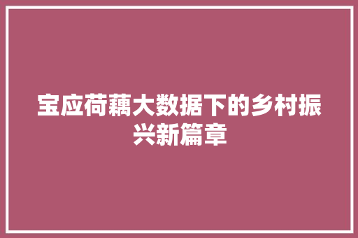 宝应荷藕大数据下的乡村振兴新篇章
