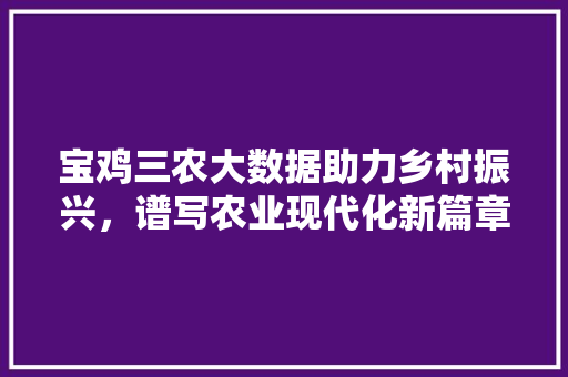 宝鸡三农大数据助力乡村振兴，谱写农业现代化新篇章