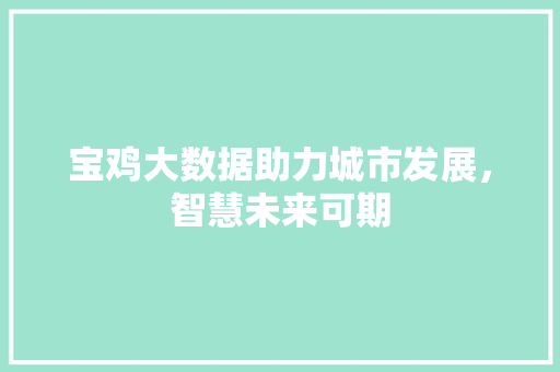 宝鸡大数据助力城市发展，智慧未来可期