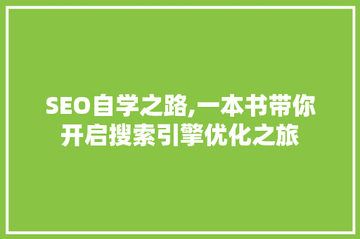 SEO自学之路,一本书带你开启搜索引擎优化之旅 项目报告