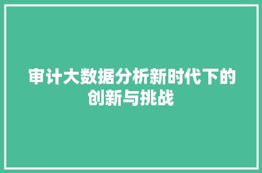 审计大数据分析新时代下的创新与挑战