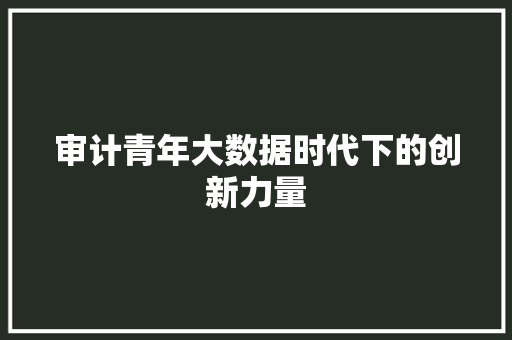 审计青年大数据时代下的创新力量