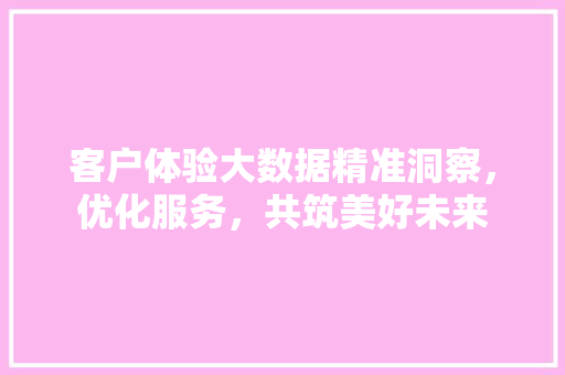 客户体验大数据精准洞察，优化服务，共筑美好未来
