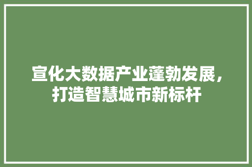 宣化大数据产业蓬勃发展，打造智慧城市新标杆