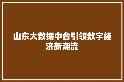 山东大数据中台引领数字经济新潮流