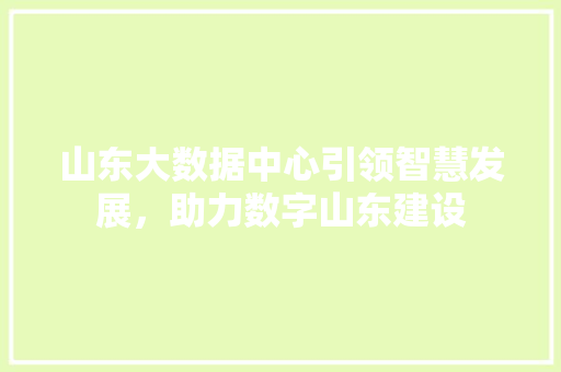山东大数据中心引领智慧发展，助力数字山东建设