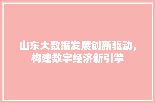 山东大数据发展创新驱动，构建数字经济新引擎